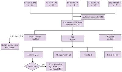 Processed meat, red meat, white meat, and digestive tract cancers: A two-sample Mendelian randomization study